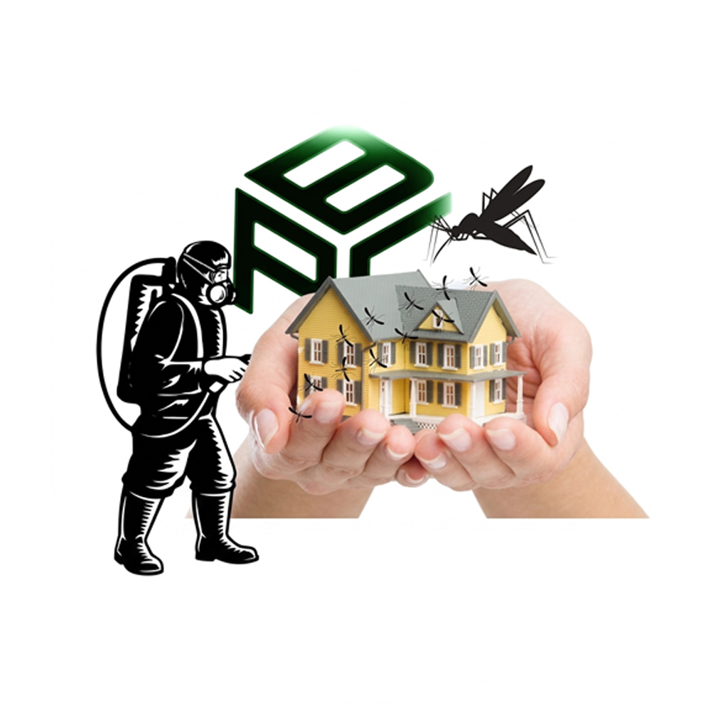 Pest Control Services in Kanpur