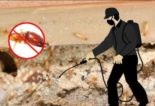 Termite Treatment