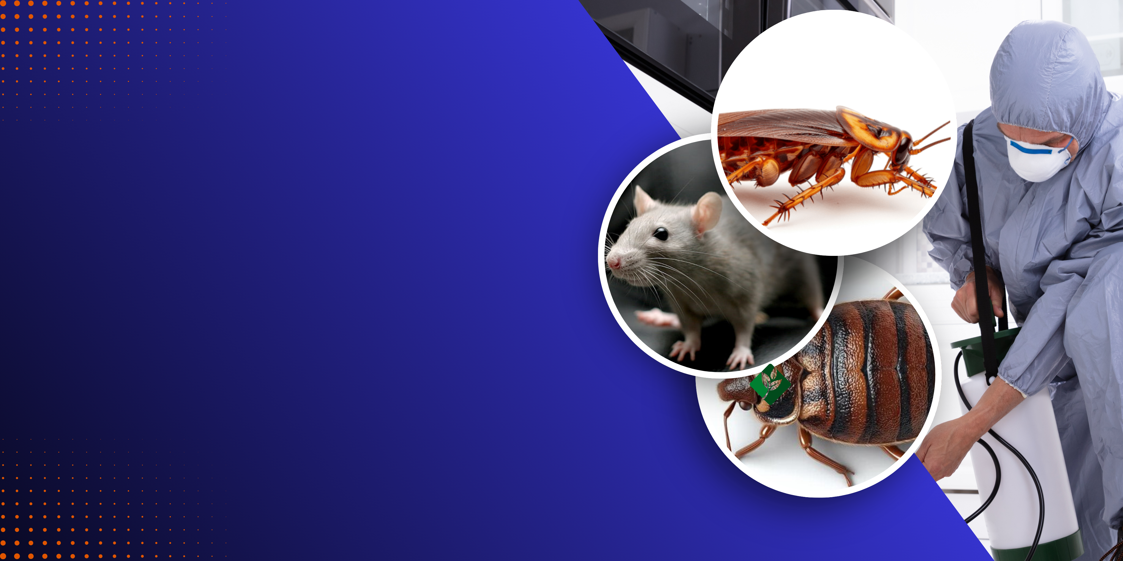 Fast Response, Lasting Protection